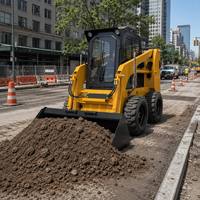 Direktlieferung ab Werk Diesel Mini-Kompaktlader Wartungsarme Baumaschine