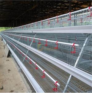 <span class=keywords><strong>Cage</strong></span> de poulet de volaille de haute qualité pour poulet de chair en liberté plancher à lattes en plastique à plusieurs niveaux pour <span class=keywords><strong>cage</strong></span> à poulet - Product Image 3