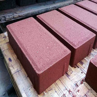 Pavé de brique de rue en béton écologique Corps entier Brique de béton perméable