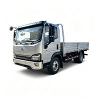 SINOTRUK HOWO 4.15m Tek Kabinli Düz Kasalı Hafif Kamyon Euro 6