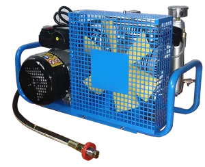 100L Portable Air Respirator Inflator Pump Fire Pump Compressor Diving Gas Cylinder High Pressure Air Pump