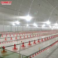 Équipement d'élevage de volaille entièrement automatique pour poulailler/poulailler d'élevage de poulets de chair avec mangeoires efficaces pour oiseaux de poulet