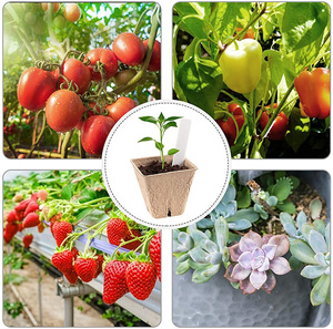 Ventes en gros de pots en tourbe à 6 cellules, plateaux de semis biodégradables, pots de semis, plateaux de germination, <span class=keywords><strong>kit</strong></span> de démarrage de plantes biologiques - Product Image 5