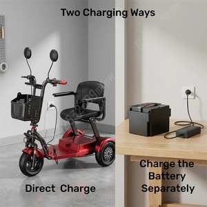 Scooter Elettrico Familiare a <span class=keywords><strong>3</strong></span> <span class=keywords><strong>Ruote</strong></span> da 10 Pollici, Pieghevole, 1000W 48V, Mini Triciclo Elettrico con Cestino, Batteria Rimovibile, Telecomando - Product Image 2