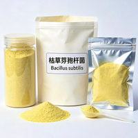 Bacillus Subtilis 100 milliards UFC/g Additif alimentaire probiotique pour la stabilité de la lactation des chèvres laitières, pour l'alimentation des chèvres laitières en phase de lactation prolongée et l'alimentation en fourrage