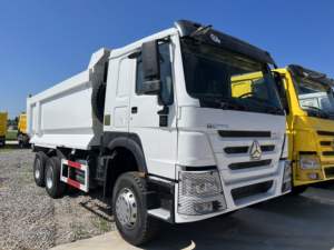 Camión Volquete Minero Nuevo Howo 8x4 Euro 2 Diésel, 10 Ruedas, 11-20T de Carga, Volante a la Izquierda, Cámara Trasera, 251-350HP, 6-8L - Product Image 1