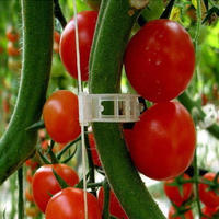 Clips de Soutien pour Plantes en Bioplastique Blanc de Haute Qualité, Adhérence Forte 16-25mm, Application Rapide pour Pépinière, Jardin, Tomates, Concombres, Vignes