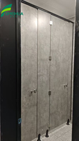 Porte de cabine de toilette moderne pour projets en gros, avec charnière en acier inoxydable 304, panneau stratifié de qualité solide, écologique, pour écoles et appartements