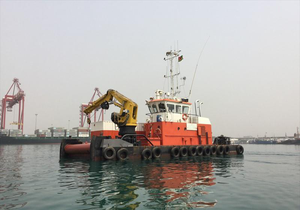 Grue marine articulée robuste et résistante à la corrosion Watsond pour la manutention portuaire côtière - Product Image 6