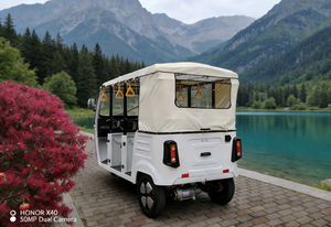 EEC Vehicle 3 Wheel Delivery Electric Rickshaw <strong>for</strong> <strong>Sale</strong> Adult Electric Auto Rickshaw Tuk Tuk <strong>Trike</strong> - Product Image 3