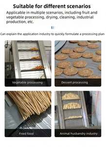 Elevador de Placas de Cadena de Acero Inoxidable, Transportador de Material de Alta Capacidad, Transportador de Virutas, Elevador de Material con Deflector - Product Image 6