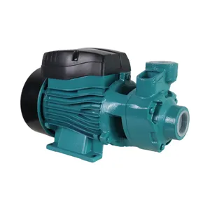 QB70 0.75kw High Pressure domestic garden electric Clean Water pump