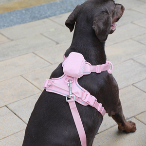 Ensemble laisse et collier pour chien en velours côtelé, ensemble de promenade réglable pour chiot, équipement de promenade durable pour chiens, chiots et petites races - Product Image 5