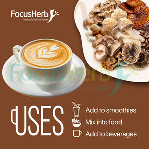 FocusHerb - Mezcla de Polvo de Hongos Chaga y Reishi de Marca Privada Personalizada - Product Image 4