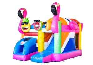 Château gonflable pour enfants avec toboggan et aire de saut - Product Image 6