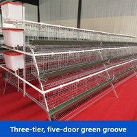 Cages d'élevage de poulets personnalisées à trois/quatre niveaux, empilées verticalement, pour poules pondeuses et poulets de chair, équipement d'élevage avicole