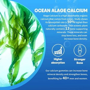 Gommes à base de calcium sans sucre OEM 600mg contiennent des algues marines, des vitamines de calcium et du magnésium favorisent la solidité des os et la santé des dents - Product Image 4