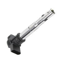 Automotive Engine Parts Ignition Coils for Audi 07K905715E