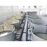 Petit réservoir d'élevage de poissons du système Ras durable et solide pour l'équipement d'aquaculture d'élevage de crevettes