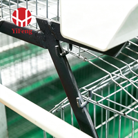 Cage d'élevage de type A, système d'élevage de poussins haute capacité, utilisé dans les projets d'élevage avicole, fabricant d'équipements d'élevage de poulets
