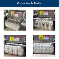 Machine automatique de fabrication de biscuits Damatic, petite ligne de production de biscuits sandwich, moulage et traitement