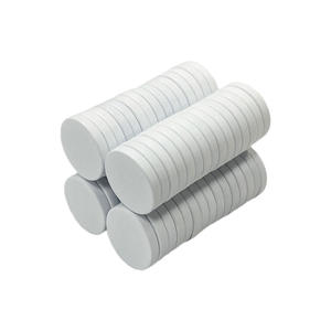 Il frigorifero di alta qualità ha usato il magnete rotondo bianco del disco del neodimio della terra rara con il rivestimento epossidico - Product Image 5