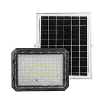 Projecteur solaire LED à haute luminosité et lentille optique économique, étanche IP65, avec télécommande, allumage automatique du crépuscule à l'aube, pour mur, poteau ou jardin