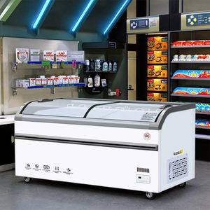 Congélateur <span class=keywords><strong>coffre</strong></span> à refroidissement direct de 2.5m à température unique avec couvercle fendu et double portes <span class=keywords><strong>Joint</strong></span> en caoutchouc Congélateur horizontal de style océan - Product Image 1