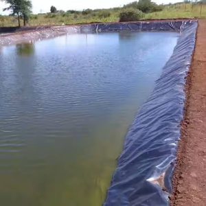 0,5mm 1mm Spirulina Farming Pool Lagune HDPE Teich folie 45 Mil 60 Mil Industrielle Abwasser teiche Gebrauchte Geo membran für Fischteich - Product Image 3