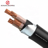 Câble extérieur ignifuge 0,6/1 kV FR VV22 blindé en acier, isolé en PVC, pour enterrage direct, bâtiment/infrastructure, certifié CE