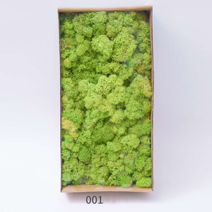 ¡Venta al por mayor! alfombra <span class=keywords><strong>vertical</strong></span> de césped musgo <span class=keywords><strong>artificial</strong></span> de color natural mezclado para decoración de paredes - Product Image 3