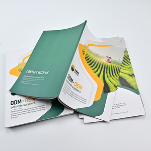 הדפסת קטלוגים דיגיטליים בצבע מלא, פליירים פרסומיים בהתאמה אישית וחוברות - Product Image 3