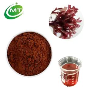 Organic Palmaria Palmata/Rhodymenia Palmata Seaweed Dulse Extract Water Soluble