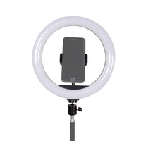 Anneaux lumineux LED RGB circulaires de photographie de 10 pouces, 16 couleurs, à intensité variable, 2022, lumière annulaire 360 avec trépied