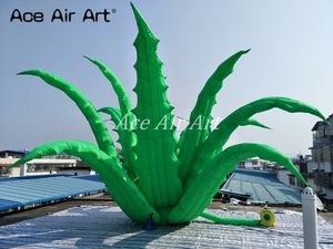 <span class=keywords><strong>Aloe</strong></span> Vera inflable de 8 m de diámetro, modelo de planta <span class=keywords><strong>gigante</strong></span> de pie, decoración para fiestas y eventos, Material Oxford, accesorios para Sopladores de aire - Product Image 4