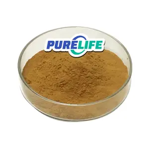 Alta calidad Multiflorum Polygonum Organic Dogal Tozu Super Root Fo-Ti Root Polygonum Multiflorum Thunb. Extracto