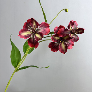 Oberonia Heimdekoration Dekorative Pflanze für Büro-Landschaftsgestaltung Anpassbare Imitation Künstliche Blume Kunstpflanze - Product Image 5