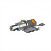 Pompe à engrenages en acier inoxydable haute pression, micropompe avec commande par moteur CC/moteur pas à pas pour le transfert de fluides (OEM)