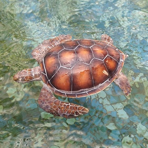 Décoration <span class=keywords><strong>de</strong></span> jardin <span class=keywords><strong>tortue</strong></span> en résine grandeur nature faite à la main, <span class=keywords><strong>tortue</strong></span> décorative en résine <span class=keywords><strong>tortue</strong></span> figurine <span class=keywords><strong>plage</strong></span> - Product Image 3