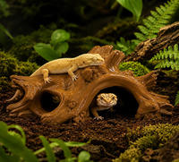 Caverne cachette réaliste en spirale pour reptiles, en PE écologique et durable, abri sûr pour lézards, serpents, hamsters et petits animaux de terrarium