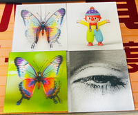 Affiches en acrylique lenticulaires 3D, impression personnalisée pour l'anime et la décoration intérieure