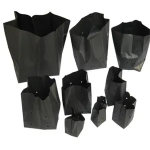 Fourniture d'usine de sacs de culture de semis en plastique noir perforé de différentes tailles pour pépinière de plantes