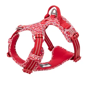 Ensemble harnais personnalisé pour chien Porte-sac à caca Ensemble nœud papillon Pochette pour friandises pour chien Fournitures pour animaux de compagnie Collier harnais pour chien en denim Laisse