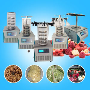 Máquina liofilizadora de 3 ~ 4kg/24h con escala de laboratorio de la serie a precio de fábrica - Product Image 1