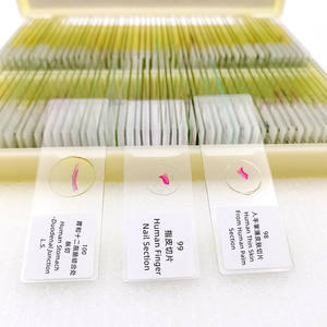 Conjunto de toboganes de histología humana, Material de vidrio y otro tema, 100 Uds. - Product Image 5