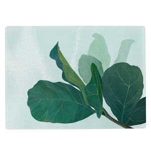<span class=keywords><strong>Planche</strong></span> <span class=keywords><strong>à</strong></span> <span class=keywords><strong>découper</strong></span> <span class=keywords><strong>en</strong></span> <span class=keywords><strong>verre</strong></span> trempé vierge pour sublimation, <span class=keywords><strong>personnalisable</strong></span> avec photo, forme rectangulaire - Product Image 4