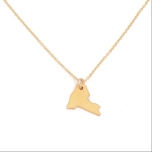 Collana con Ciondolo Stato di New York Inspire Jewelry, Collana Statement con Mappa USA in Acciaio Inossidabile per Uomo/Donna, Personalizzabile con Nome o Logo - Product Image 1