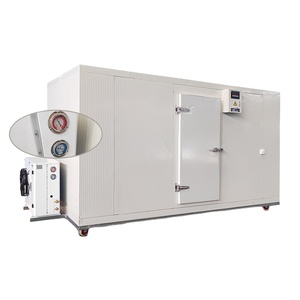 Congelador de gran explosión de aire, contenedor para verduras, carne y flores - Product Image 1