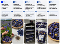 Harga Pabrik Grosir Teh Herbal Bunga Teratai Biru Sehat dan Menenangkan Nymphaea Caerulea Kering dalam Kotak Daun Teh Lepas