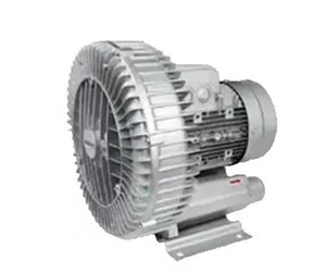 Bomba de vacío YASHIBA YGC-750 S 1100 S 1500 S 2200 S S - Product Image 3